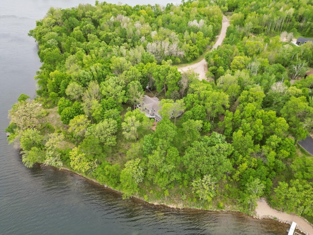 32331 Loon Dr, Candor Twp, MN 56587 - drone / aerial view of a large body of water