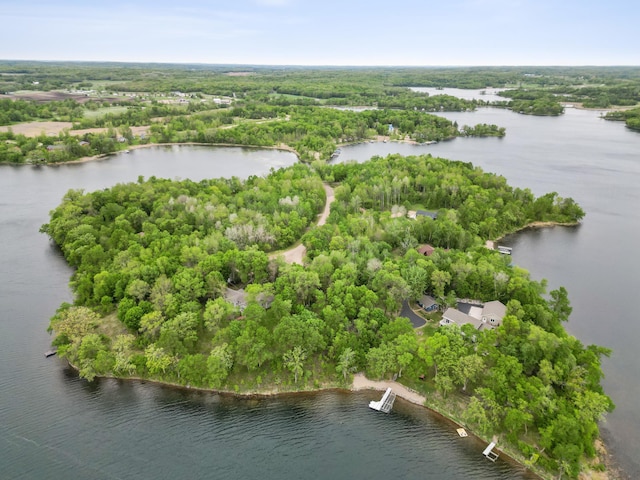32331 Loon Dr, Candor Twp, MN 56587 - drone / aerial view of a nearby body of water and a forest