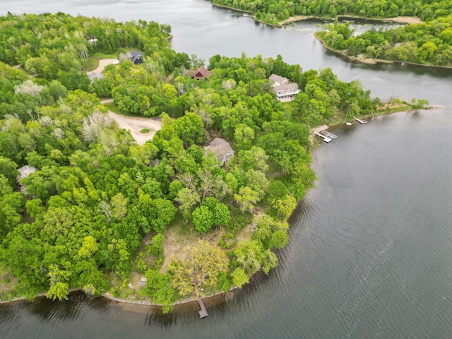 32331 Loon Dr, Candor Twp, MN 56587 - aerial view of a large body of water and a tree filled landscape