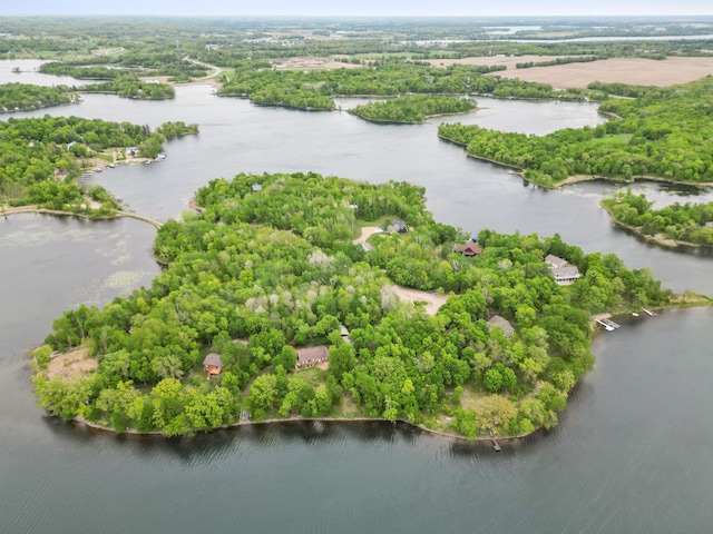 32331 Loon Dr, Candor Twp, MN 56587 - drone / aerial view of a nearby body of water
