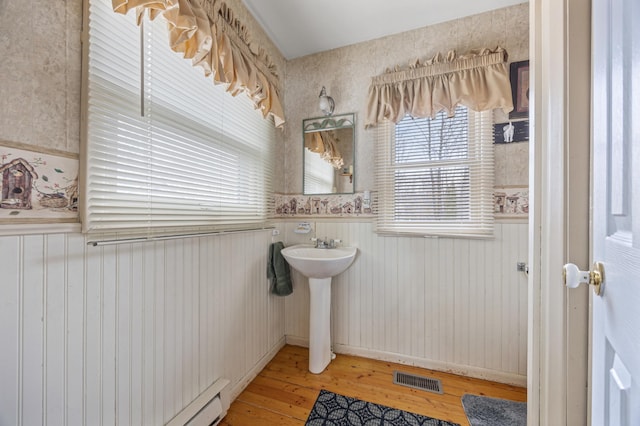32331 Loon Dr, Candor Twp, MN 56587 - bathroom featuring a wainscoted wall, hardwood / wood-style flooring, a sink, and wallpapered walls