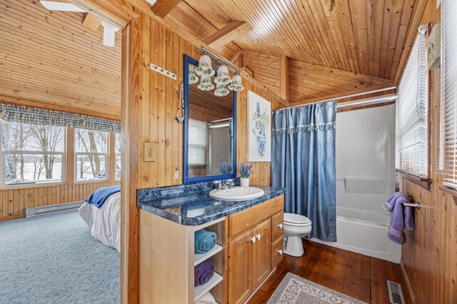 32331 Loon Dr, Candor Twp, MN 56587 - full bathroom featuring wooden walls, lofted ceiling, vanity, toilet, and plenty of natural light