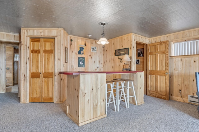32331 Loon Dr, Candor Twp, MN 56587 - kitchen with carpet flooring, wooden walls, an ornate ceiling, and baseboard heating