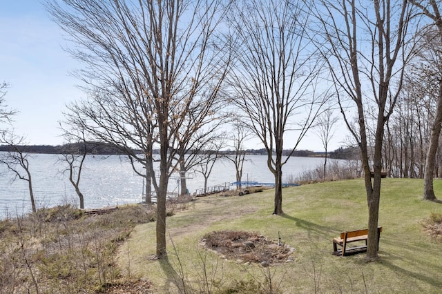 32331 Loon Dr, Candor Twp, MN 56587 - water view