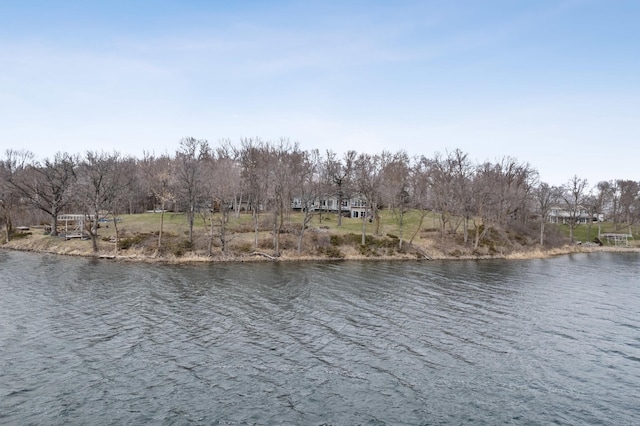 32331 Loon Dr, Candor Twp, MN 56587 - water view with a tree filled landscape