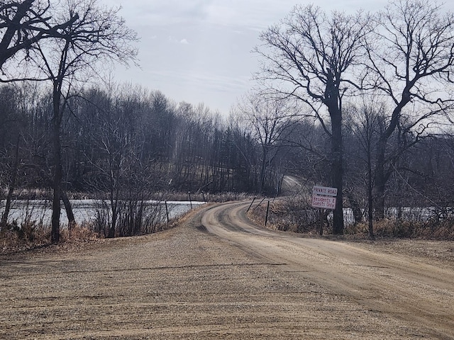 32331 Loon Dr, Candor Twp, MN 56587 - view of dirt / gravel road