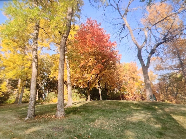 32331 Loon Dr, Candor Twp, MN 56587 - view of green lawn