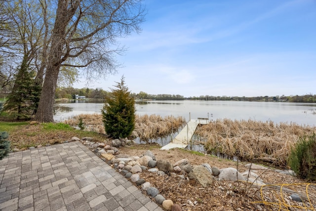 5427 Twin Lake Blvd E, Brooklyn Center, MN 55429 - water view with a boat dock