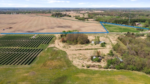 15535 375th St, Amador Twp, MN 55084 - overview of rural landscape with property parcel outlined