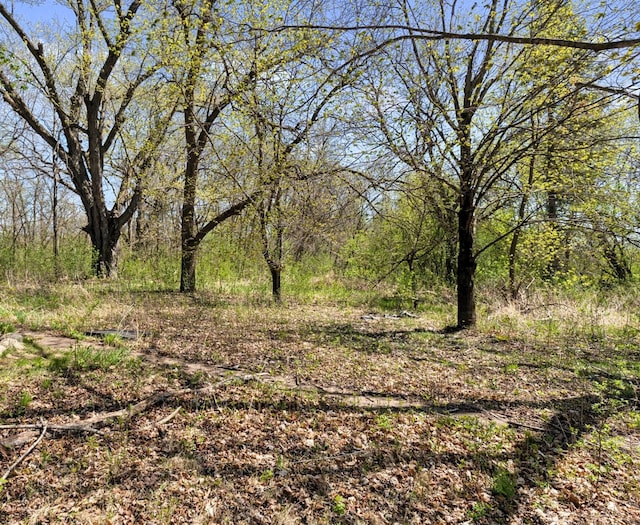 15535 375th St, Amador Twp, MN 55084 - view of undeveloped land