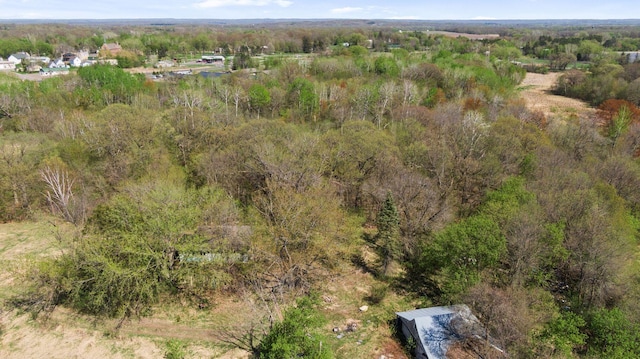 15535 375th St, Amador Twp, MN 55084 - drone / aerial view of a forest
