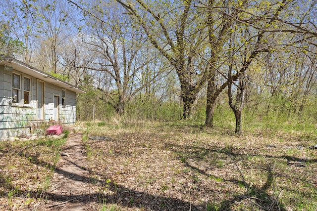 15535 375th St, Amador Twp, MN 55084 - view of yard