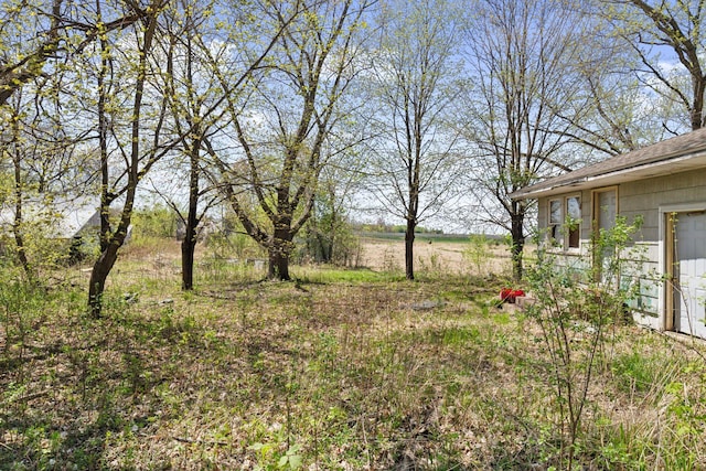 15535 375th St, Amador Twp, MN 55084 - view of yard