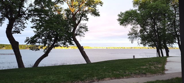2520 Le Homme Dieu Hts NE Unit 3, Alexandria Twp, MN 56308 - water view