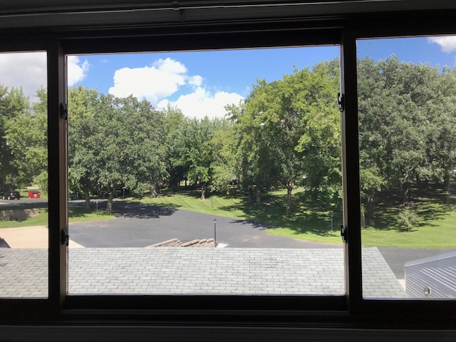 2520 Le Homme Dieu Hts NE Unit 3, Alexandria Twp, MN 56308 - detailed view of view of scattered trees