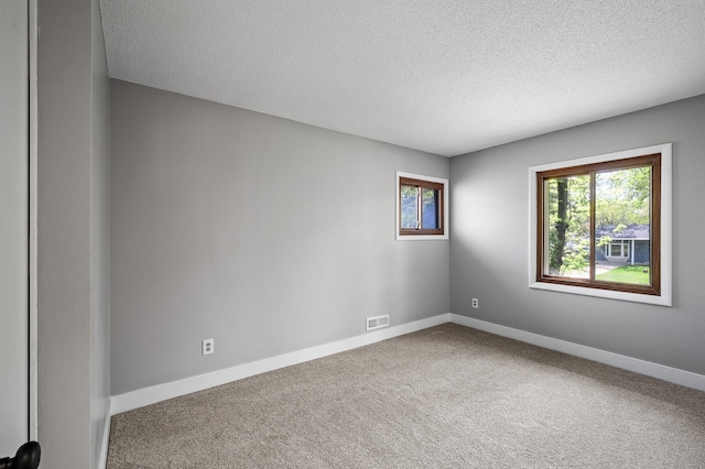 unfurnished room featuring healthy amount of natural light, carpet, a textured ceiling, and baseboards