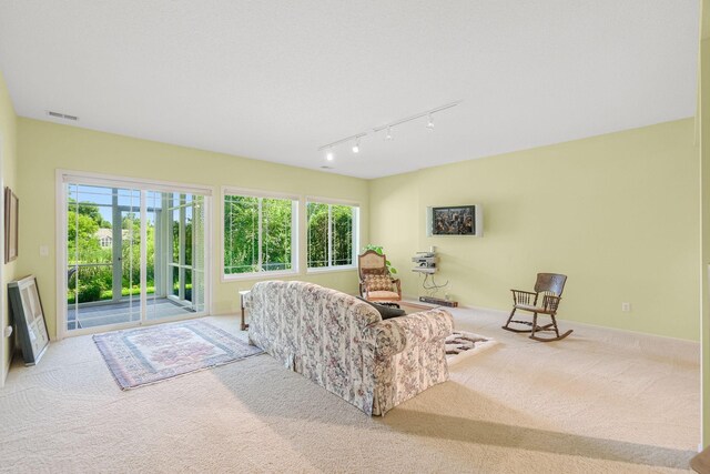 7232 Kestrel Trl, Savage, MN 55378 - carpeted living room with rail lighting and plenty of natural light