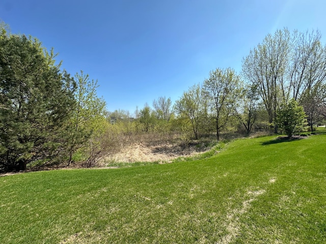 view of grassy yard