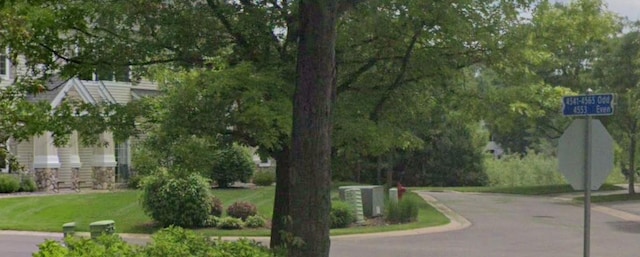 view of community with a lawn