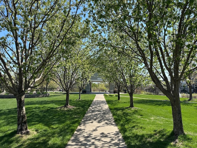 view of community with a yard