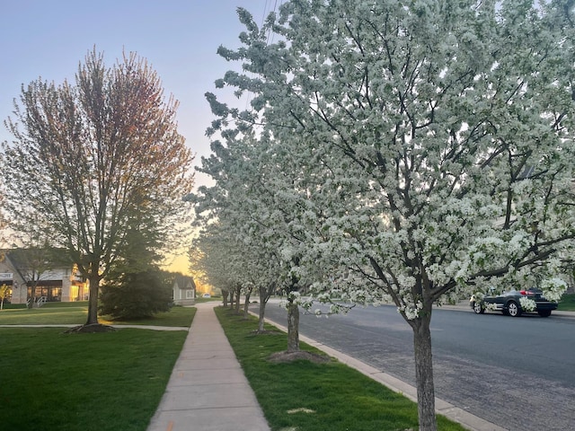 surrounding community with a yard