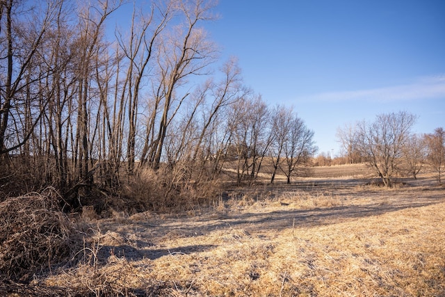 2300 County Road 92, Minnetrista, MN 55359 - view of nature