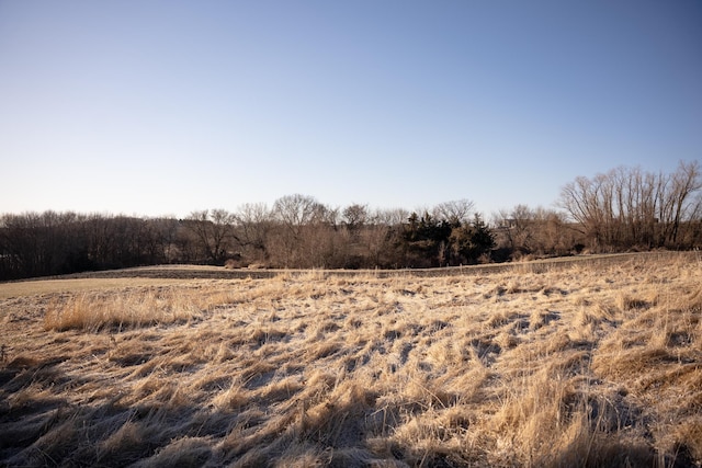 2300 County Road 92, Minnetrista, MN 55359 - view of local wilderness featuring a rural view