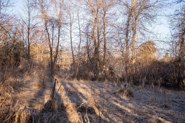 2300 County Road 92, Minnetrista, MN 55359 - view of nature