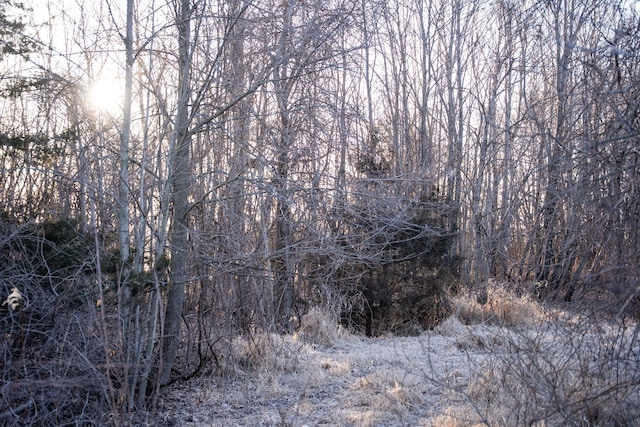 2300 County Road 92, Minnetrista, MN 55359 - view of local wilderness