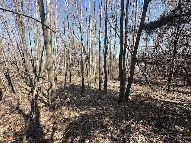 2300 County Road 92, Minnetrista, MN 55359 - view of nature