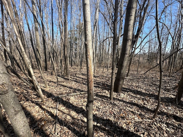 2300 County Road 92, Minnetrista, MN 55359 - view of nature