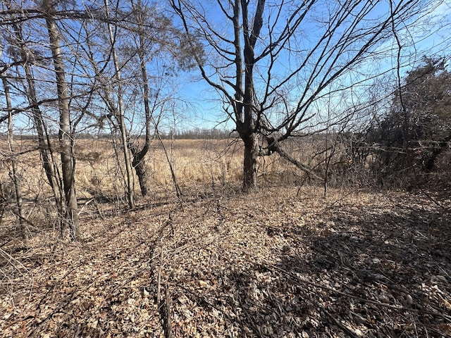 2300 County Road 92, Minnetrista, MN 55359 - view of nature