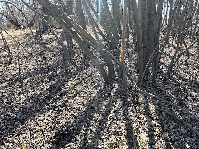 2300 County Road 92, Minnetrista, MN 55359 - view of landscape