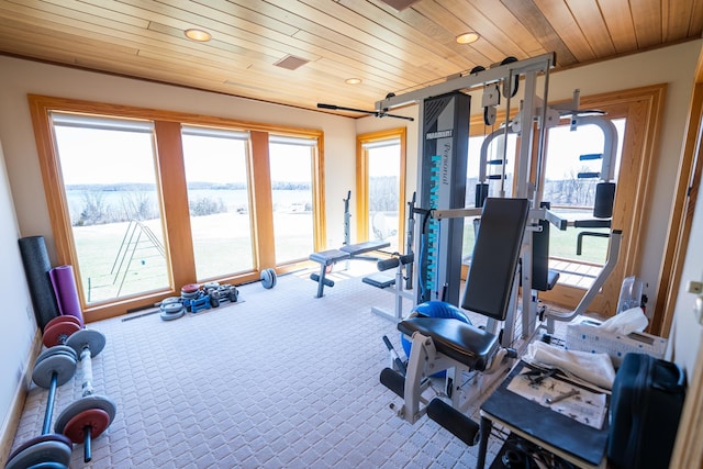 2300 County Road 92, Minnetrista, MN 55359 - exercise area with carpet, wood ceiling, healthy amount of natural light, and recessed lighting