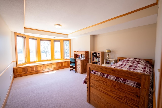 2300 County Road 92, Minnetrista, MN 55359 - bedroom with a tray ceiling and light colored carpet