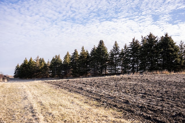 2300 County Road 92, Minnetrista, MN 55359 - view of yard
