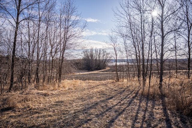 2300 County Road 92, Minnetrista, MN 55359 - view of road