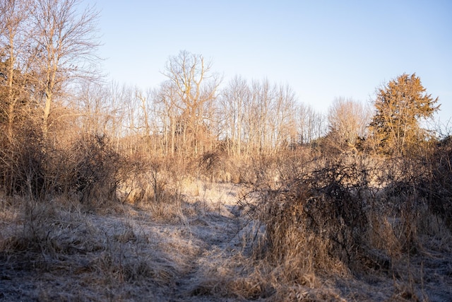 2300 County Road 92, Minnetrista, MN 55359 - view of local wilderness