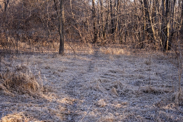 2300 County Road 92, Minnetrista, MN 55359 - view of nature