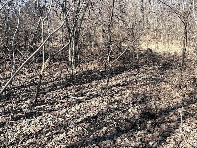 2300 County Road 92, Minnetrista, MN 55359 - view of nature