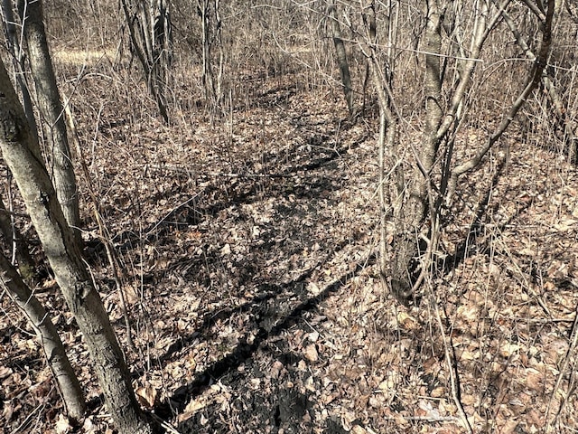 2300 County Road 92, Minnetrista, MN 55359 - view of local wilderness