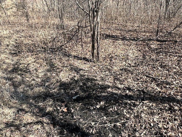 2300 County Road 92, Minnetrista, MN 55359 - view of local wilderness