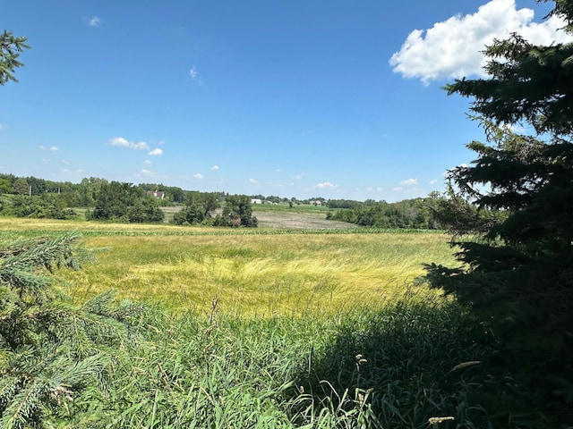 2300 County Road 92, Minnetrista, MN 55359 - view of local wilderness featuring rural landscape