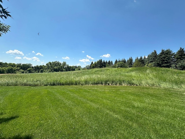 2300 County Road 92, Minnetrista, MN 55359 - view of grassy yard with a rural view