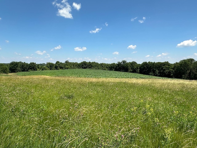 2300 County Road 92, Minnetrista, MN 55359 - view of nature featuring rural landscape
