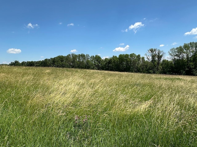 2300 County Road 92, Minnetrista, MN 55359 - view of nature with rural landscape