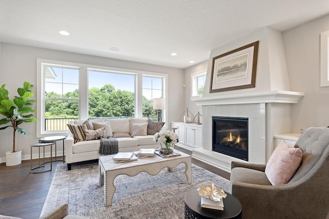 3840 Vista View Ct, Chaska, MN 55318 - living room featuring wood finished floors, a high end fireplace, recessed lighting, and baseboards