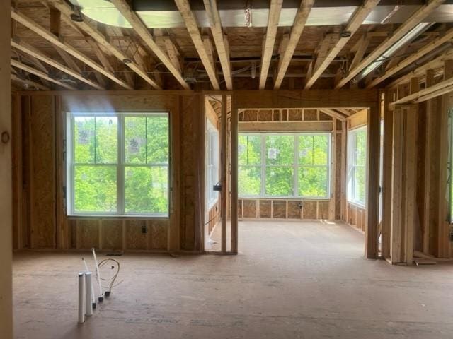 3840 Vista View Ct, Chaska, MN 55318 - misc room featuring healthy amount of natural light