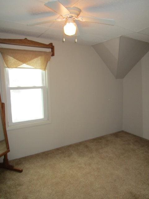 additional living space with carpet and a ceiling fan