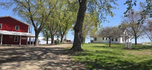 view of grassy yard